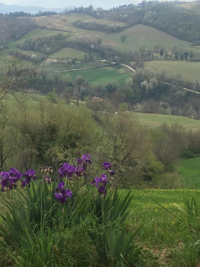 Green B&B Urbino Cá del vento Esterno foto